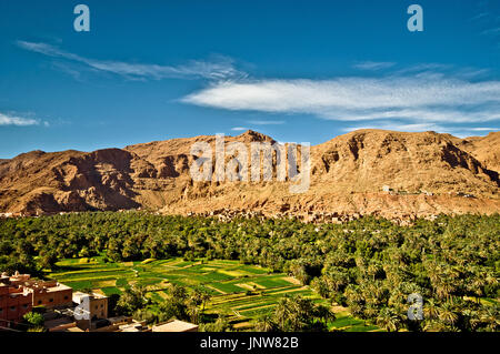 Vista sul palm oasi di Tineghir in Marocco del Todra Foto Stock