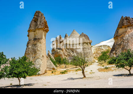 Famose formazioni geologiche noto come Camini di Fata e utilizzato come sede di alloggiamento a Goreme, Cappadocia, Turchia Foto Stock