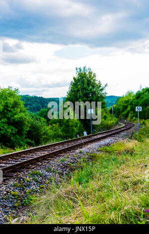 Ferrovie in diagonale tra l'erba verde. Nuvole pesanti su sky, bella immagine colorata. Foto Stock