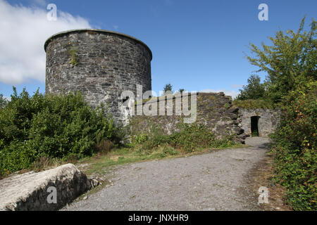 Martello Tower su guarnire Isola, County Cork, Irlanda. Foto Stock