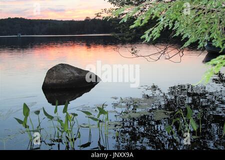 Rock e piante nel lago al tramonto con la foresta in background Foto Stock