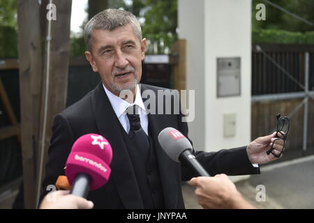 Olbramovice, Repubblica Ceca. 29 Luglio, 2017. Andrej Babis parla con i giornalisti. Il miliardario Andrej Babis, leader del movimento di ano e ceca ex ministro delle finanze, ha sposato la sua partner di lungo periodo di Monika nella sua fattoria Capi hnizdo (nido di cicogna) in Olbramovice, Repubblica Ceca, il 29 luglio. Credito: Josef Vostarek/CTK foto/Alamy Live News Foto Stock