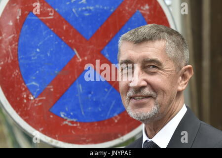 Olbramovice, Repubblica Ceca. 29 Luglio, 2017. Il miliardario Andrej Babis (nella foto), leader del movimento di ano e ceca ex ministro delle finanze, ha sposato la sua partner di lungo periodo di Monika nella sua fattoria Capi hnizdo (nido di cicogna) in Olbramovice, Repubblica Ceca, il 29 luglio. Credito: Josef Vostarek/CTK foto/Alamy Live News Foto Stock