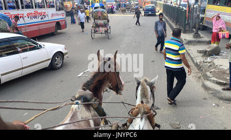 Dacca in Bangladesh. Il 30 luglio, 2017. 30 luglio 2017- Vecchia Dacca in Bangladesh '"' Vecchia città di Dhaka la gente corre sul cavallo carrello per andare per il loro lavoro quotidiano nella vecchia città di Dhaka il 30 giugno 2017. Carrelli di cavalli furono per la prima volta aperto a Calcutta ed è stato guidato alla vecchia Dhaka da lì. Durante il XIX secolo. Carrozze trainate da cavalli sono un popolare mezzo di trasporto a Dhaka, soprattutto nella parte vecchia della citta'. La gente ancora correre indietro per carrozze, per garantire la nuova generazione è riconosciuta la vecchia cultura di Dhaka. © Monirul Alam Credito: Monirul Alam/ZUMA filo/Alamy Live News Foto Stock