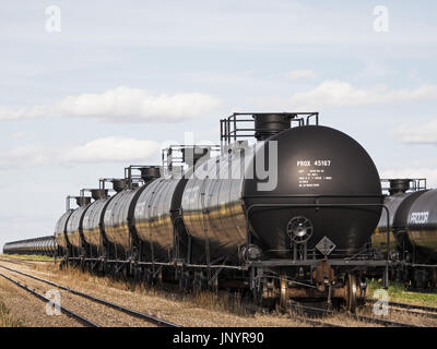 Shaunavon, Saskatchewan, Canada. Il 29 agosto, 2014. Cisterna ferroviario automobili utilizzati per spostare petrolio greggio inattive su Great Western Railway (GWR) rail schierata. La breve linea ferroviaria opera in South Western Saskatchewan sulla via una volta di proprietà di Canadian Pacific Railway. Credito: Bayne Stanley/ZUMA filo/Alamy Live News Foto Stock