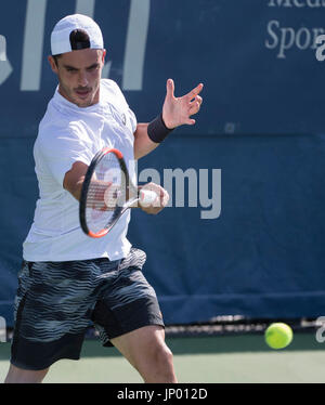 Washington, DC. 31 Luglio, 2017. Thomas Fabbiano (ITA) perde di Nicolas MAHUT (FRA) 6-1, 7-6, presso il Citi aprire essendo suonato al Rock Creek Park Tennis Center di Washington, DC, . © Leslie Billman/Tennisclix/CSM/Alamy Live News Foto Stock