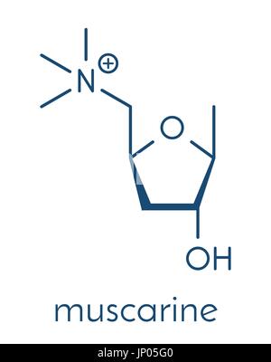 Muscarina fungo molecola di tossina. Un agonista dei recettori muscarinici recettori di acetilcolina. Formula di scheletro. Illustrazione Vettoriale