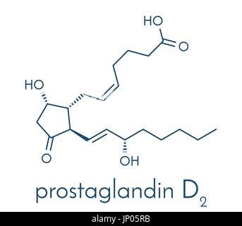 La prostaglandina D2 (PGD2 molecola). Formula di scheletro. Illustrazione Vettoriale