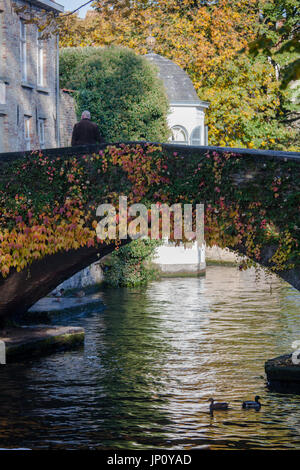 Bruges, Belgio - 31 Ottobre 2010: l'uomo in piedi sul ponte Peerdenstraat, Groenerei, Bruges, Belgio, in autunno Foto Stock