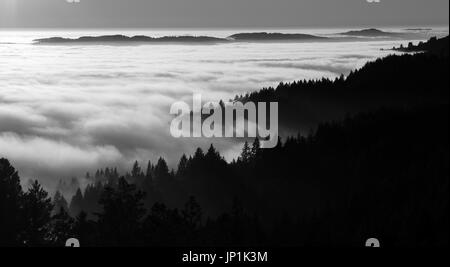 Una drammatica oceano di nebbia/nuvole al tramonto ha colpito le coste di alberi di pino in una in bianco e nero Vista panoramica Foto Stock