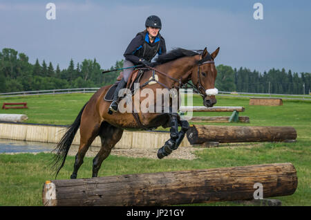 Giovane donna in sella a una castrazione e praticando saltando su un log ostacolo ad una formazione equestre facility vicino cervi rossi, Alberta, Canada Foto Stock