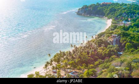 Spiaggia tropicale con palme in una giornata di vento Foto Stock