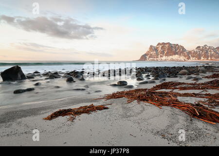 Utakleiv beach-vista northeastwards-monta il rivestimento delle N.Riva del Steinsfjorden: Medskolmen-Hogskolmen-Stirabben-Bjornskarryggan. Lunghe alghe rosse su t Foto Stock