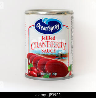 New York, 02 Dicembre: una lattina di Ocean Spray salsa di mirtilli isolato su bianco. Foto Stock