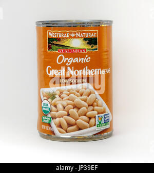 New York, 02 Dicembre: un può di organico Great Northern fagioli isolato su bianco. Foto Stock