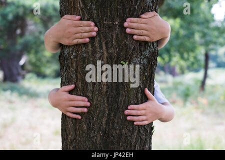 Due bambini hag o abbracciare un tronco di albero Foto Stock