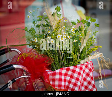 Fiori di primavera sulla bicicletta. Soft focus con effetto vintage stile foto Foto Stock