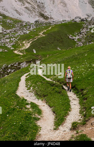 Alpina percorso a piedi attraverso Scharnitztal a sella Scharnitzjoch nelle Alpi del Tirolo, Austria Foto Stock