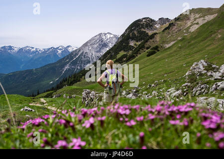 Alpina percorso a piedi attraverso Scharnitztal a sella Scharnitzjoch nelle Alpi del Tirolo, Austria Foto Stock