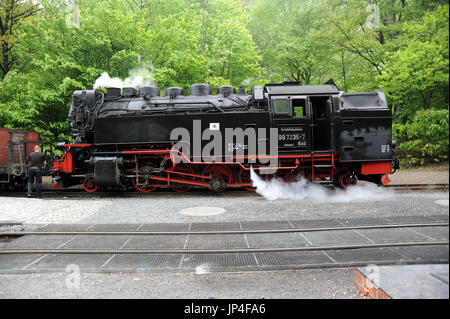 99 7235-7 a Eisfelder Talmuhle, Harzer Schmalspurbahnen. Foto Stock