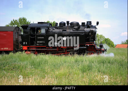 99 6001-4 lasciando Gernrode con un treno per Hasselfelde, Harzer Schmalspurbahnen. Foto Stock