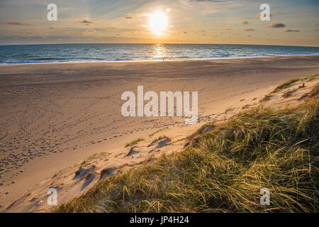 Spiaggia del mare del Nord, costa dello Jutland in Danimarca Foto Stock