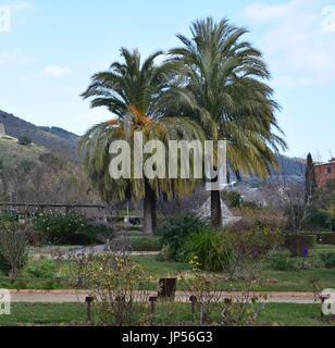 Il monastero fu fondato da Re Jaime II e da sua moglie Elisenda de Moncada nel 1326. Foto Stock