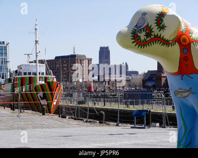 Vista su tutta la Canning Half-Tide Dock verso la cattedrale di Liverpool, con nave pilota Edmund Gardner in livrea dazzle e Lambanana. Foto Stock