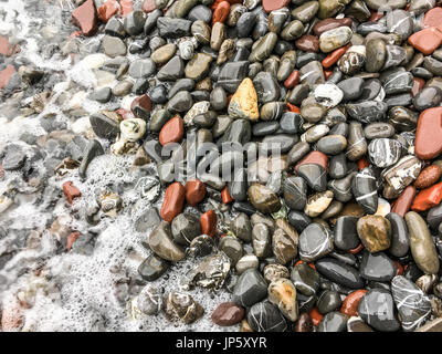 Ciottoli bagnata sulla spiaggia oceano, Maine, Stati Uniti d'America Foto Stock