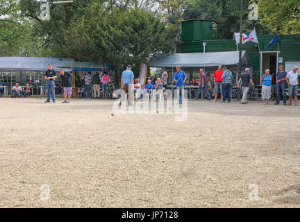 GRONINGEN, PAESI BASSI-agosto 20th: l uomo il gioco delle bocce presso il Martini Masters di Groningen nei Paesi Bassi sul ventesimo di Au Foto Stock