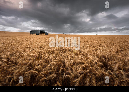 Il fienile olandese a Sixpenny Handley nel Dorset Foto Stock