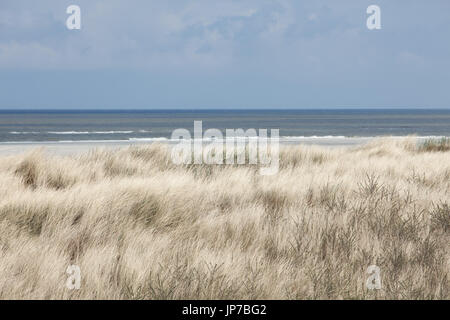 L'Europa, Germania, Friesland, Langeoog - una tranquilla mattina di primavera su Langeoog . Una silenziosa mattina di primavera su Langeoog Germania Foto Stock