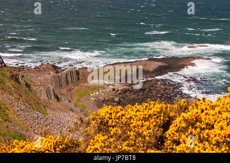 Una vista a volo di uccello del Giant's Causeway, Irlanda del Nord Foto Stock