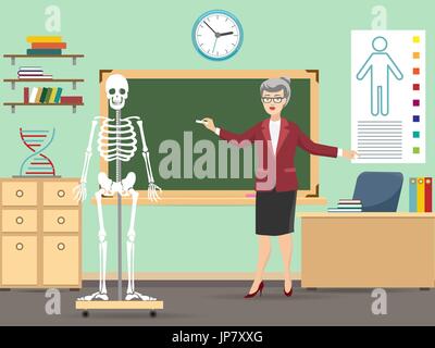 Aula con scheletro umano e insegnante, vvector illustrazione Illustrazione Vettoriale