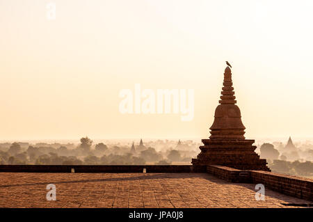 Pyathada Tempio a sunrise, Bagan, Myanmar Foto Stock