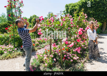 Francia, Normandia, Giverny, turistico matura in Monet's Garden Foto Stock