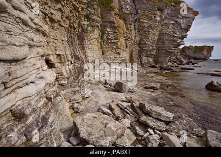 La Svezia, Gotland, Lilla Karlsö, rocce calcaree, Foto Stock