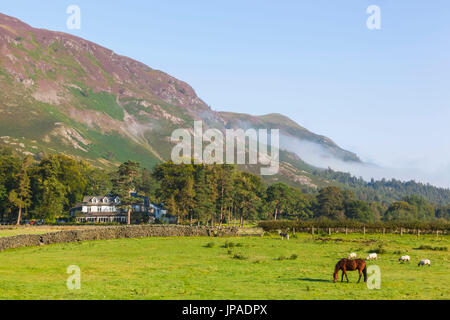 Inghilterra, Cumbria, Lake District, Borrowdale Foto Stock