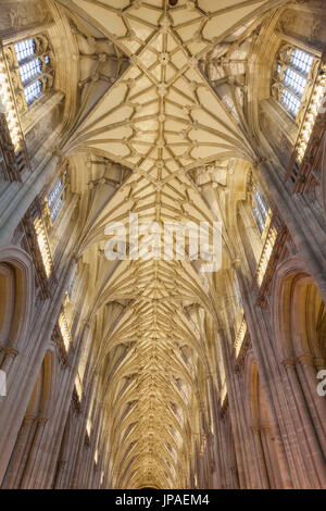 Inghilterra, Hampshire, Winchester, la Cattedrale di Winchester, la navata centrale Foto Stock