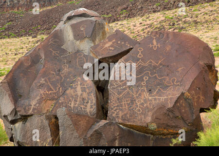 Greaser petroglifi quartiere Lakeview Bureau of Land Management, Oregon Foto Stock