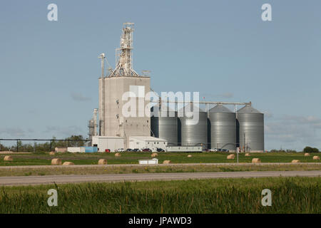 Elevatore granella nelle praterie canadesi. Elevatore granella in Moosomin, Saskatchewan, Canada. Foto Stock