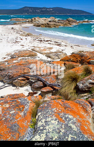 Killiecrankie Bay su Flinders Island Foto Stock