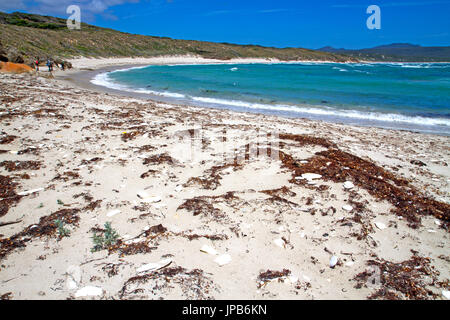 Killiecrankie Bay su Flinders Island Foto Stock