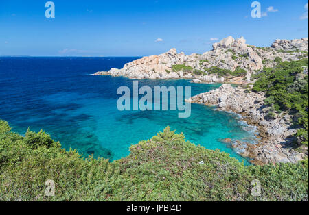 Piante verdi il telaio il turchese del mare e le scogliere di Capo Testa a Santa Teresa di Gallura in provincia di Sassari Sardegna Italia Europa Foto Stock