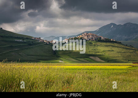 Verdi campi di spighe di grano cornice del borgo medievale di Castelluccio di Norcia Provincia di Perugia Umbria Italia Europa Foto Stock