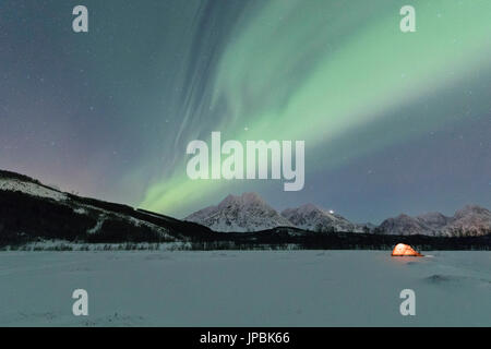 Una tenda nella neve illuminato da luci del nord e il cielo stellato di notte polare Svensby Alpi Lyngen Tromsø Norvegia Europa Foto Stock