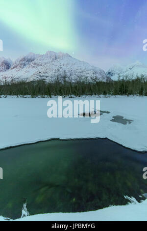 Northern Lights è riflessa nell'acqua del fiume nascosto. Fiume Lakselva, Lakselvdalvegen, Alpi Lyngen, Troms, Norvegia, Lapponia, l'Europa. Foto Stock