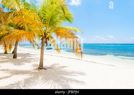 Mano Juan, Saona Island, Parco Nazionale Orientale (Parque Nacional del Este), Repubblica Dominicana, Mar dei Caraibi. Foto Stock