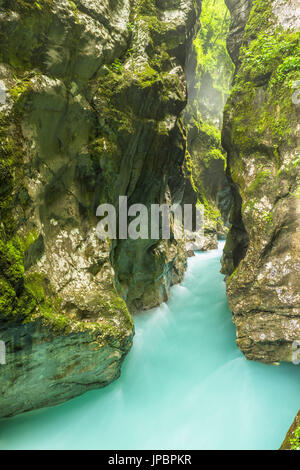 Tolmin gole, il Parco Nazionale del Triglav, Slovenia, Est Europa. Foto Stock