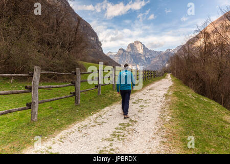 L'Europa, Italia, Veneto, Belluno, Sedico. Un uomo sta camminando lungo la strada che conduce verso il centro equestre di selezione del caso Salet, Dolomiti Foto Stock